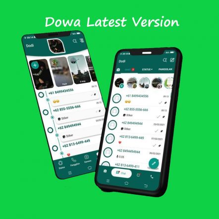 Dowa Whatsapp